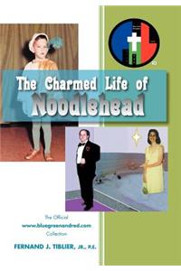 Charmed Life of Noodlehead