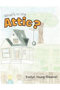 What's In the Attic?
