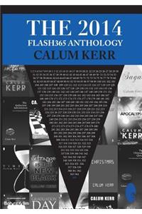 2014 Flash365 Anthology