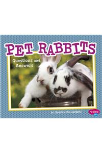 Pet Rabbits: Questions and Answers