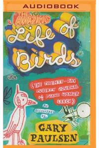 Amazing Life of Birds