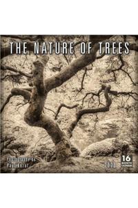 2020 the Nature of Trees 16-Month Wall Calendar: By Sellers Publishing