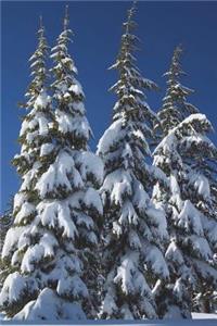 Pine Trees Heavy with Snow in Deer Canyon Utah Journal: 150 Page Lined Notebook/Diary