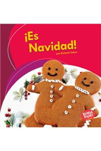 ¡Es Navidad! (It's Christmas!)