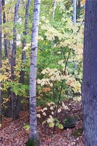 Journal Fall Foliage Autumn Trees