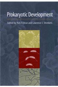 Prokaryotic Development