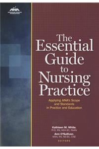 Essential Guide to Nursing Practice: Applying Ana's Scope and Standards in Practice and Education