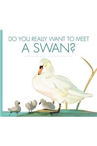 Do You Really Want to Meet a Swan?