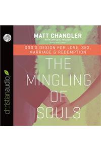 The Mingling of Souls: God's Design for Love, Sex, Marriage, and Redemption