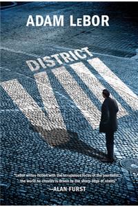 District VIII
