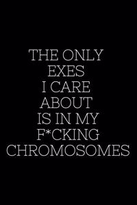 The Only Exes I Care About Is In My F*cking Chromosomes - Lizzo Journal