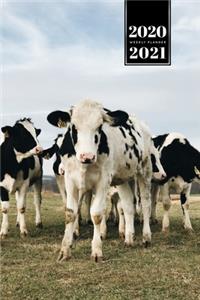 Cow Cattle Farming Farmer Week Planner Weekly Organizer Calendar 2020 / 2021 - Small Family