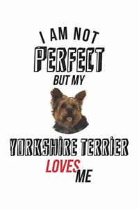 I'm not perfect, but my Yorkshire Terrier loves me
