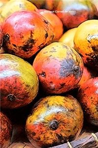 Mangue Carnet de notes
