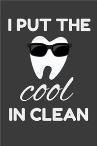 I Put The Cool In Clean
