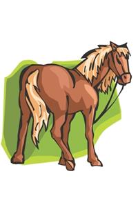 2020 Weekly Planner Horse Illustration Equine Cartoon Horse 134 Pages