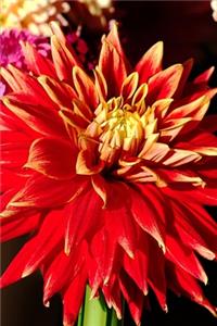 2020 Weekly Planner Flowers Pretty Zinnias 134 Pages