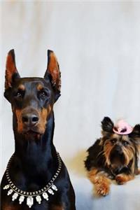 Cute Doberman and Yorkshire Terrier Posing Journal