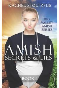 Amish Secrets and Lies