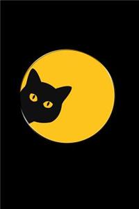 Moon and Cat