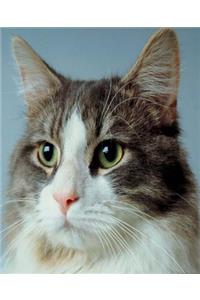School Composition Book Alert Cat Photo 200 Pages