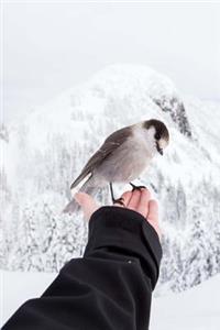 Winter Journal: Bird on Hand, Soft Cover, Ruled Notebook/Journal/Diary (257 P. 6x9)