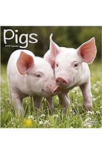 Pigs Calendar 2018