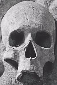 Gothic Skull Skeleton Composition Notebook