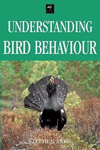 A Birdwatcher's Guide: Understanding Bird Behaviour