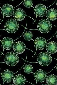 Journal Notebook Watercolor Dandelions Pattern 3