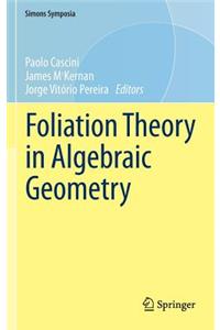 Foliation Theory in Algebraic Geometry