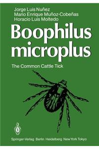 Boophilus Microplus