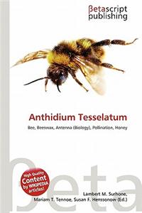 Anthidium Tesselatum