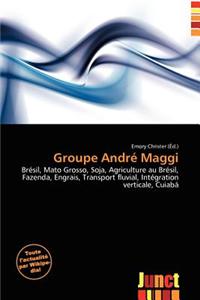 Groupe Andr Maggi