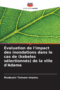 Évaluation de l'impact des inondations dans le cas de (kebeles sélectionnés) de la ville d'Adama