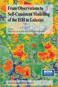 From Observations to Self-Consistent Modelling of the Ism in Galaxies