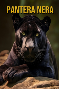 Pantera nera