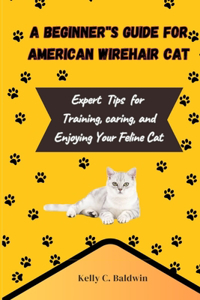 Beginner's Guide to American wirehair Cats