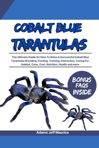 Cobalt Blue Tarantulas