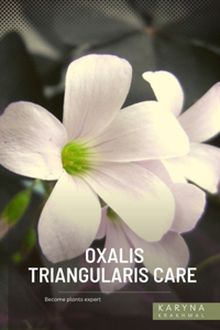Oxalis Triangularis Care