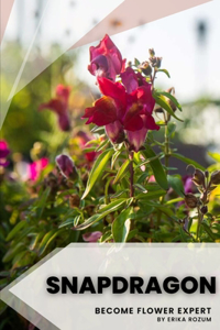 Snapdragon