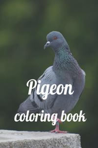 Pigeon coloring book