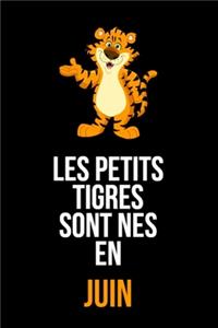 Les petits tigres sont nés en juin