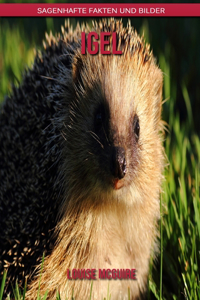 Igel