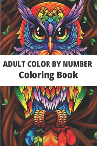 Adult color by number Coloring Book