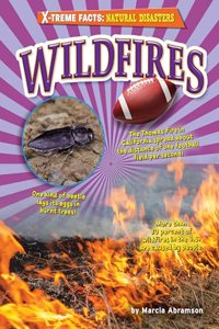 Wildfires