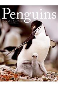 Penguins