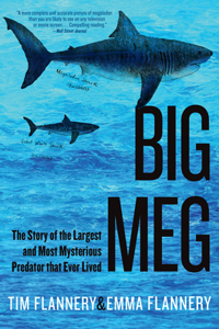 Big Meg