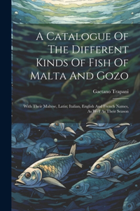 Catalogue Of The Different Kinds Of Fish Of Malta And Gozo