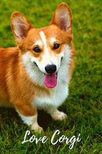 Corgi Notebook Journal Love Corgi